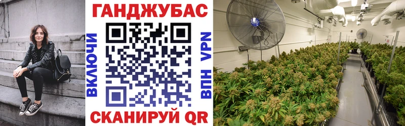 Каннабис индика  Ярославль 